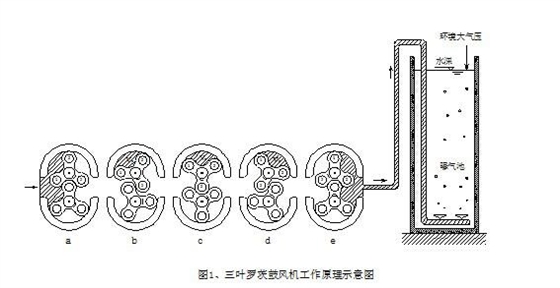 污水曝氣羅茨風機工作原理 污水曝氣羅茨風機工作原理