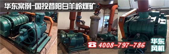 特殊密封羅茨風(fēng)機(jī) 特殊密封羅茨風(fēng)機(jī)