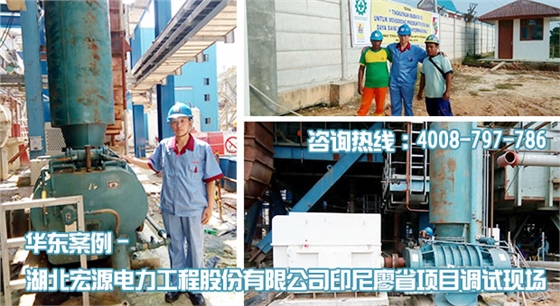 宏源電力印尼廖省項(xiàng)目HDGR450羅茨風(fēng)機(jī)安裝調(diào)試現(xiàn)場(chǎng) 宏源電力印尼廖省項(xiàng)目HDGR450羅茨風(fēng)機(jī)安裝調(diào)試現(xiàn)場(chǎng)