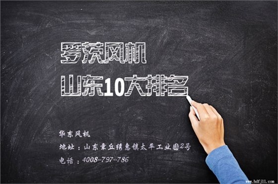 全國(guó)羅茨風(fēng)機(jī)10大排名品牌.jpg 全國(guó)羅茨風(fēng)機(jī)10大排名品牌.jpg