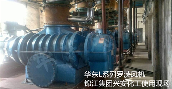 二葉羅茨風機 二葉羅茨風機