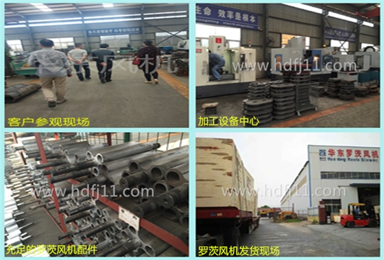 羅茨風(fēng)機(jī) 羅茨風(fēng)機(jī)