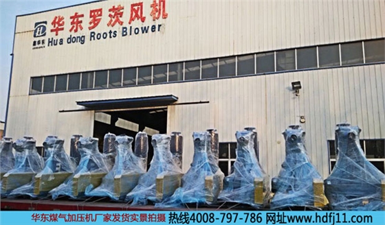 氧化羅茨風(fēng)機發(fā)貨 華東風(fēng)機 氧化羅茨風(fēng)機發(fā)貨 華東風(fēng)機
