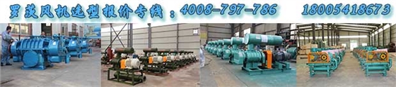 污水處理用羅茨風(fēng)機(jī) 污水處理用羅茨風(fēng)機(jī)