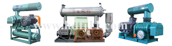 羅茨風(fēng)機(jī) 羅茨風(fēng)機(jī)