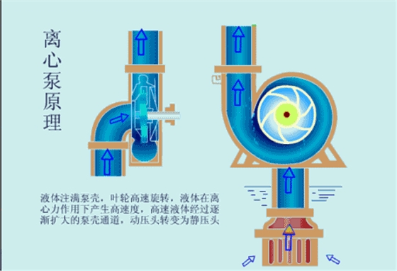 離心泵2.gif 離心泵2.gif