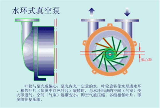 水環(huán)真空泵.gif 水環(huán)真空泵.gif