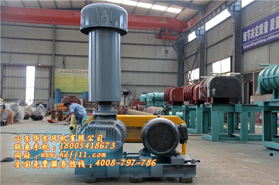 魯式鼓風(fēng)機(jī) 魯式鼓風(fēng)機(jī)