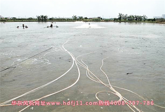 羅茨增氧機水產(chǎn).jpg 羅茨增氧機水產(chǎn).jpg