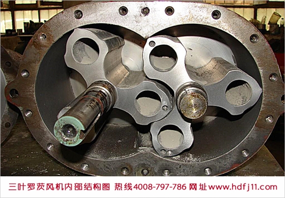 三葉羅茨風(fēng)機(jī)內(nèi)部結(jié)構(gòu).jpg 三葉羅茨風(fēng)機(jī)內(nèi)部結(jié)構(gòu).jpg