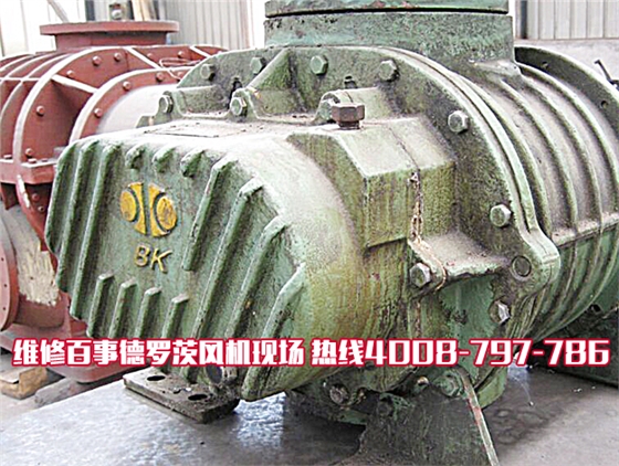 維修百事德羅茨風(fēng)機(jī)0.jpg 維修百事德羅茨風(fēng)機(jī)0.jpg