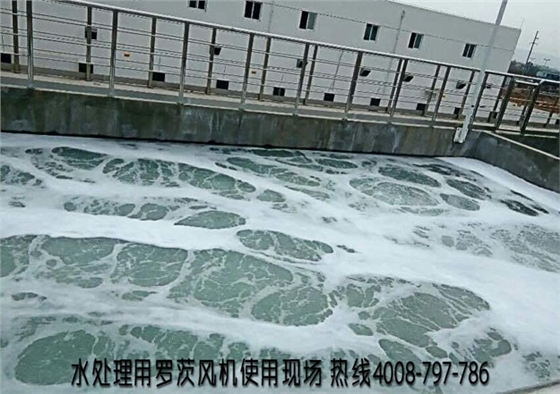 羅茨風(fēng)機(jī)介紹.jpg 羅茨風(fēng)機(jī)介紹.jpg