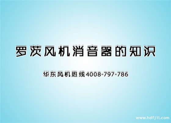 羅茨鼓風(fēng)機(jī)消音器.jpg 羅茨鼓風(fēng)機(jī)消音器.jpg