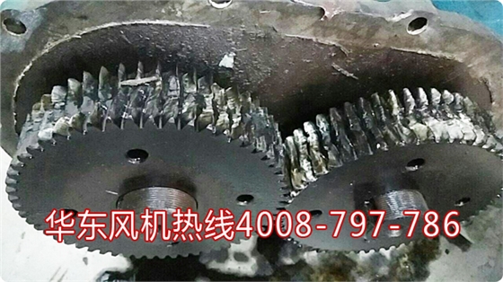 羅茨風(fēng)機(jī)齒輪維修.jpg 羅茨風(fēng)機(jī)齒輪維修.jpg