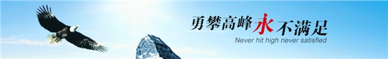 臺灣春鼎羅茨風機 臺灣春鼎羅茨風機