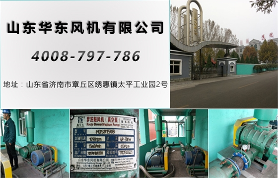 三葉羅茨風機 三葉羅茨風機