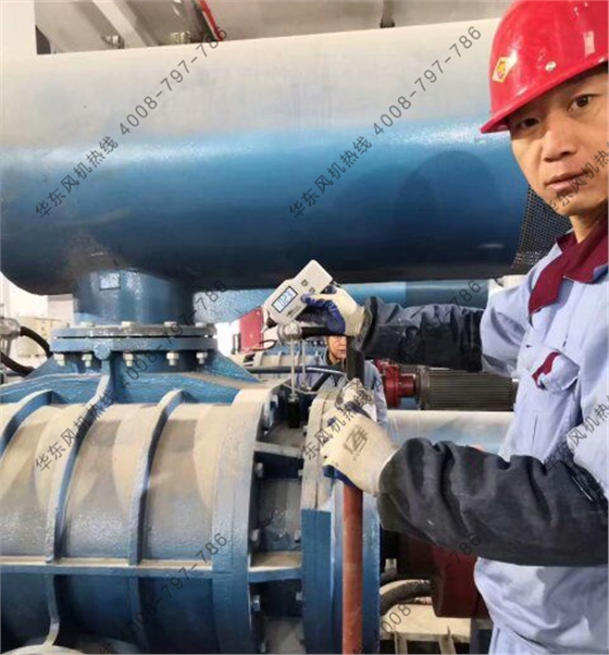 羅茨鼓風(fēng)機(jī)振動(dòng)值 羅茨鼓風(fēng)機(jī)振動(dòng)值