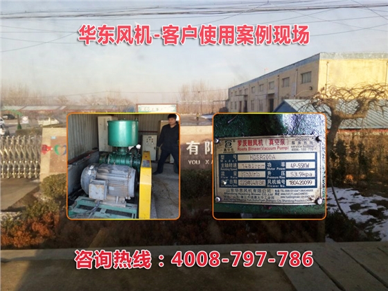 三葉羅茨風機 三葉羅茨風機