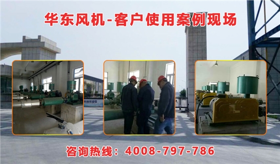 羅茨風(fēng)機 羅茨風(fēng)機