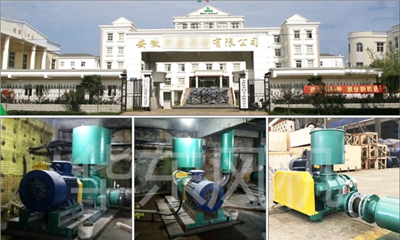 羅茨風(fēng)機(jī) 羅茨風(fēng)機(jī)