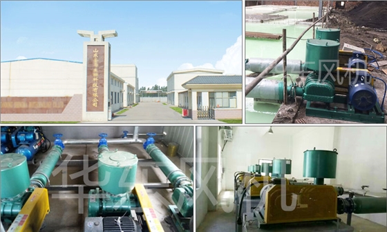 羅茨風(fēng)機(jī) 羅茨風(fēng)機(jī)