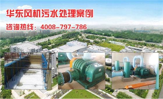 羅茨風機 羅茨風機