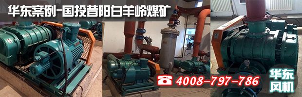 特殊密封羅茨風機 特殊密封羅茨風機