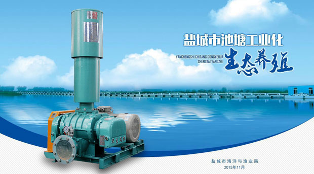 華東羅茨式增氧機(jī) 華東羅茨式增氧機(jī)