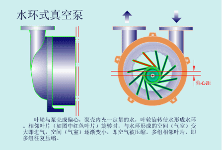 水環(huán)真空泵.gif 水環(huán)真空泵.gif