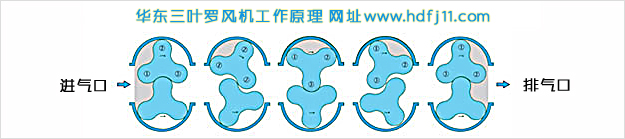 三葉羅茨風(fēng)機(jī)進(jìn)出氣工作原理.jpg 三葉羅茨風(fēng)機(jī)進(jìn)出氣工作原理.jpg