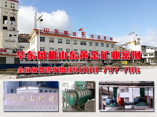 羅茨風(fēng)機(jī) 羅茨風(fēng)機(jī)