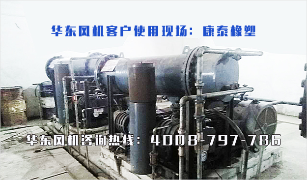 二葉羅茨風(fēng)機(jī) 二葉羅茨風(fēng)機(jī)
