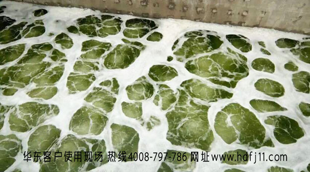 污水處理羅茨風(fēng)機(jī) 污水處理羅茨風(fēng)機(jī)