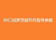 80口徑羅茨鼓風機參數(shù).jpg 80口徑羅茨鼓風機參數(shù).jpg