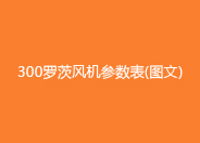 300羅茨鼓風機參數(shù)型號.jpg 300羅茨鼓風機參數(shù)型號.jpg