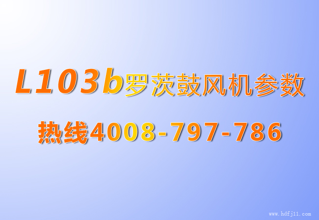 L系列羅茨風(fēng)機(jī)103b.jpg L系列羅茨風(fēng)機(jī)103b.jpg