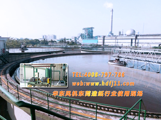 污水處理羅茨風(fēng)機(jī) 污水處理羅茨風(fēng)機(jī)
