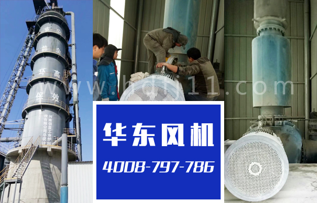 二葉羅茨風機 二葉羅茨風機