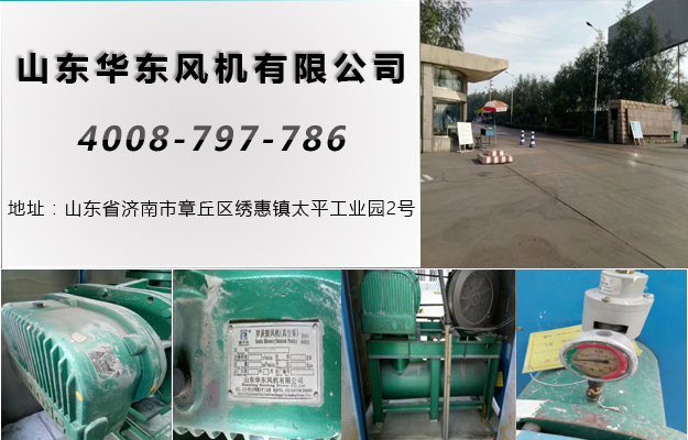 密集型羅茨風(fēng)機(jī) 密集型羅茨風(fēng)機(jī)