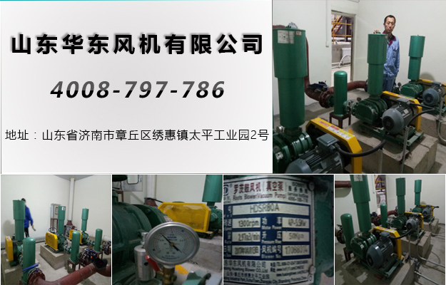 三葉羅茨風(fēng)機(jī) 三葉羅茨風(fēng)機(jī)