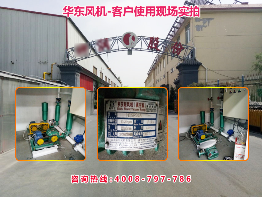三葉羅茨風機 三葉羅茨風機