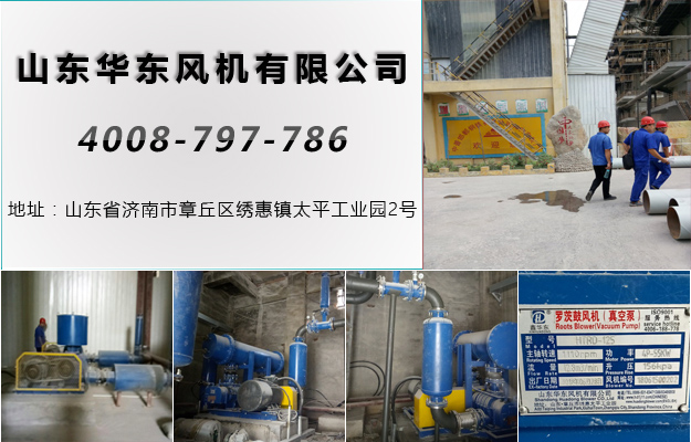 雙極串聯(lián)羅茨風(fēng)機(jī) 雙極串聯(lián)羅茨風(fēng)機(jī)