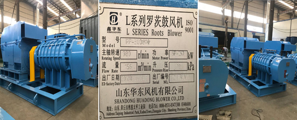 二葉羅茨風(fēng)機 二葉羅茨風(fēng)機
