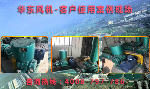 三葉羅茨風機 三葉羅茨風機