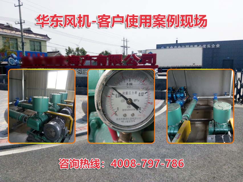 三葉羅茨風(fēng)機 三葉羅茨風(fēng)機