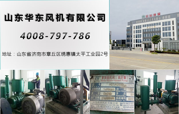 三葉羅茨風(fēng)機 三葉羅茨風(fēng)機