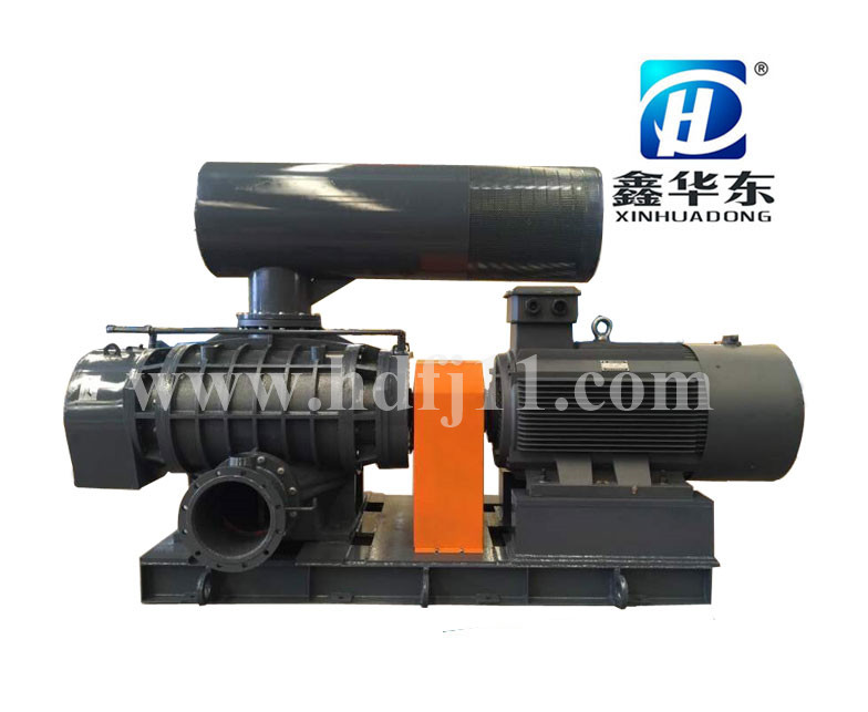 HDRE-145型羅茨鼓風(fēng)機(jī) HDRE-145型羅茨鼓風(fēng)機(jī)